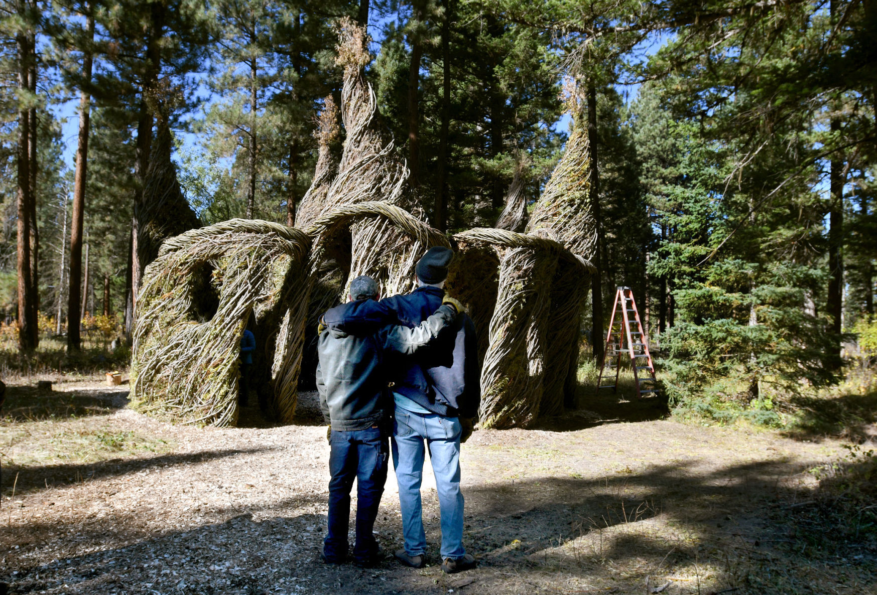 100817 tree circus7 kw.jpg